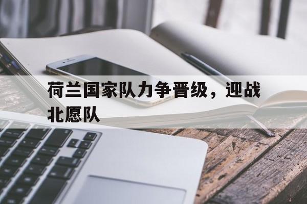 关于荷兰国家队力争晋级，迎战北愿队的信息